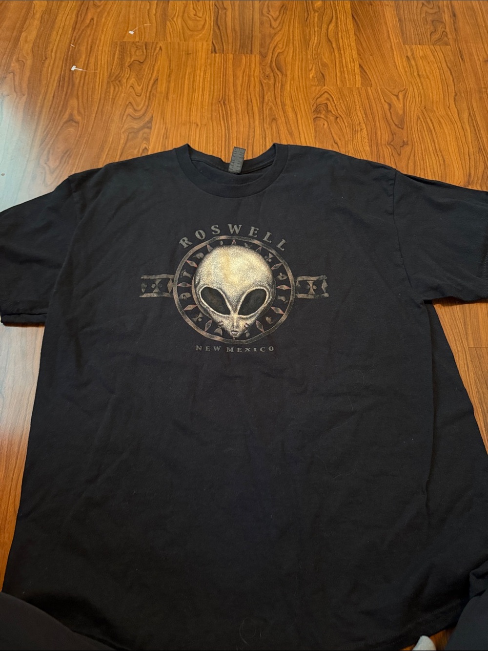 Gildan Black Roswell New Mexico Alien Graphic Tee